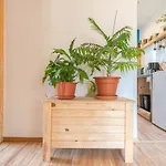 Z 2 Sypialniami I Ogrodem - Dream Apartment