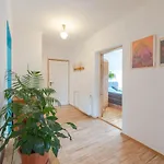 Z 2 Sypialniami I Ogrodem - Dream Apartment *