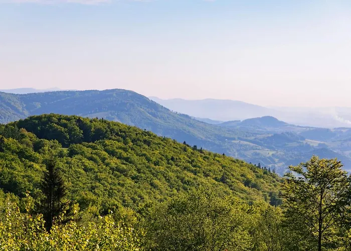 Apartment Latynoski Z Ogrodem - Dream *