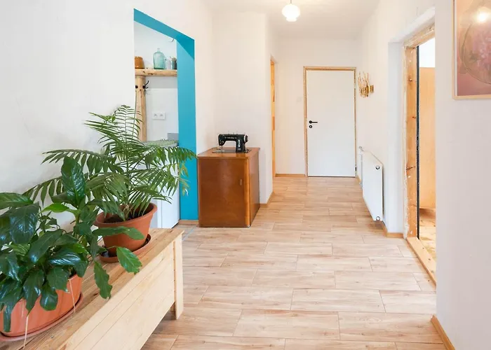 Apartment Latynoski Z Ogrodem - Dream *